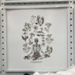 Meet your Posher, Jayne